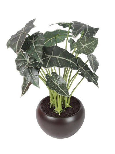 Artificial Happy Philo Bonsai With Ceramic Pot - Artificial Flowers & Plants - PolliNation