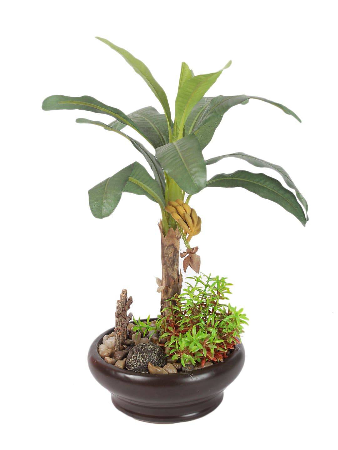 Pollination Artificial Banana Bonsai With Ceramic Pot - Artificial Flowers & Plants - PolliNation