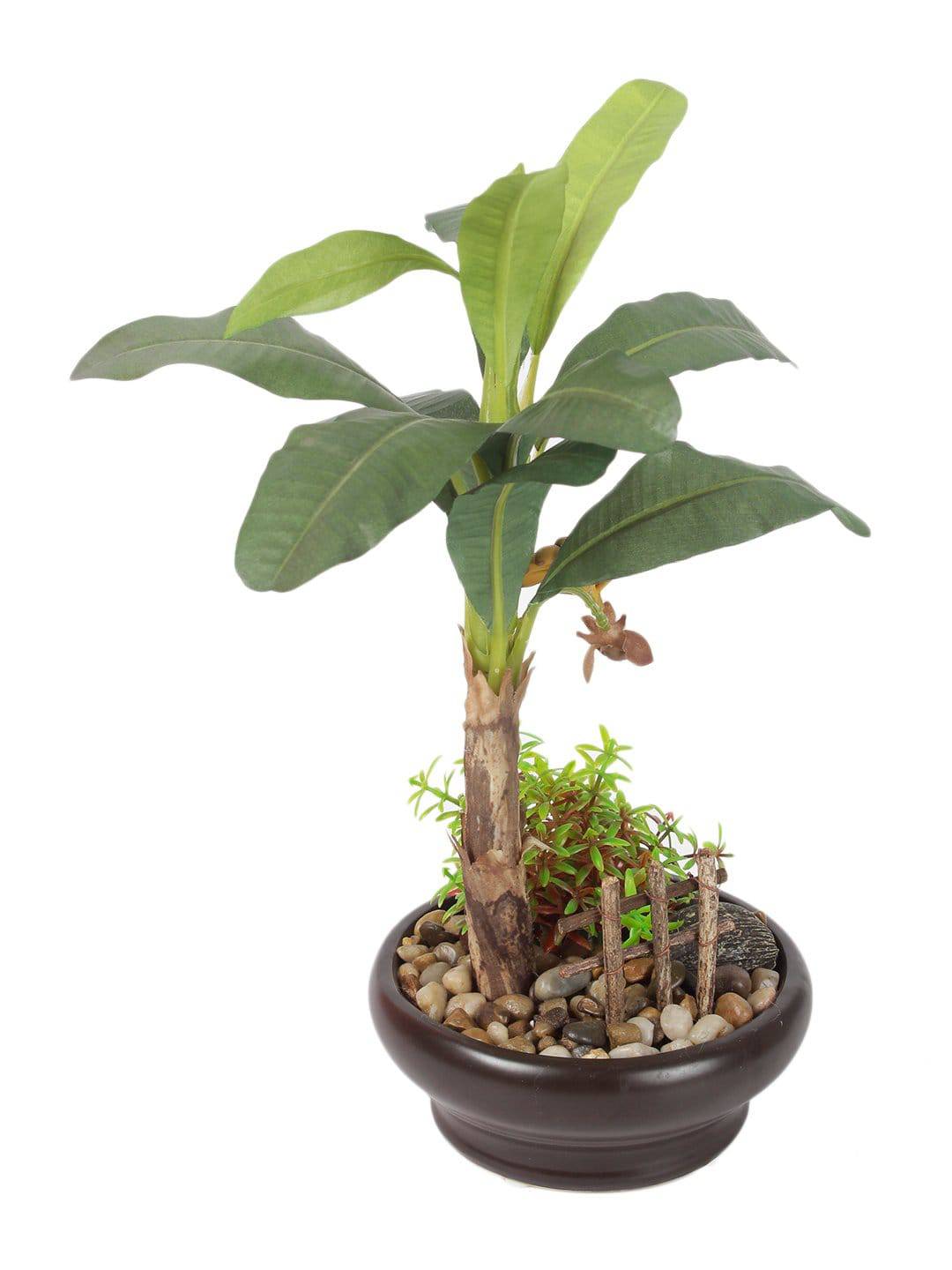 Pollination Artificial Banana Bonsai With Ceramic Pot - Artificial Flowers & Plants - PolliNation