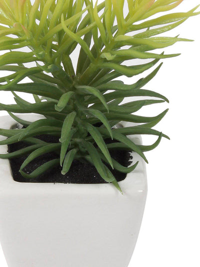 Pollination Artificial Green Succulent in White Ceramic Pot for Gift Home Decor (Pack of 1, 18 cm) - Artificial Flowers & Plants - PolliNation