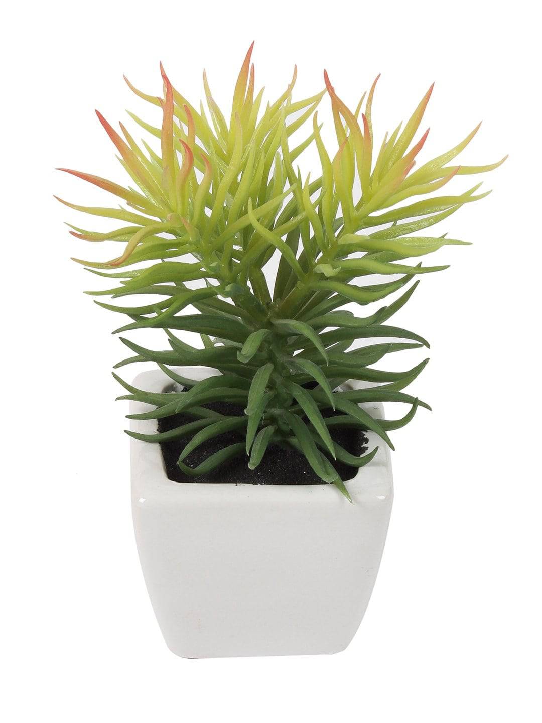 Pollination Artificial Green Succulent in White Ceramic Pot for Gift Home Decor (Pack of 1, 18 cm) - Artificial Flowers & Plants - PolliNation