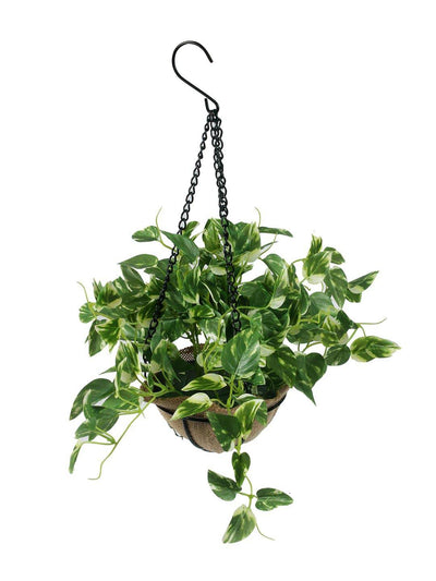 PolliNation Alluring Orange Maple Artificial Creeper in Jute Basket with Hanging Metal Stand for Balcony Garden Home Decoration (Pack of 1, 40 cm) - Artificial Flowers & Plants - PolliNation