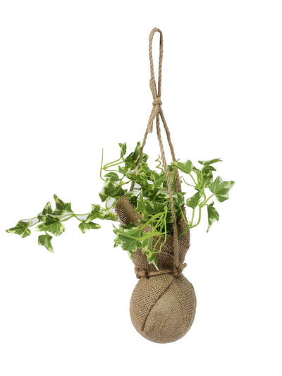 Pollination Beautiful Artificial White Ivy Creeper Bonsai with Jute Bag for Balcony (Pack of 1, 14 Inch) - Artificial Flowers & Plants - PolliNation