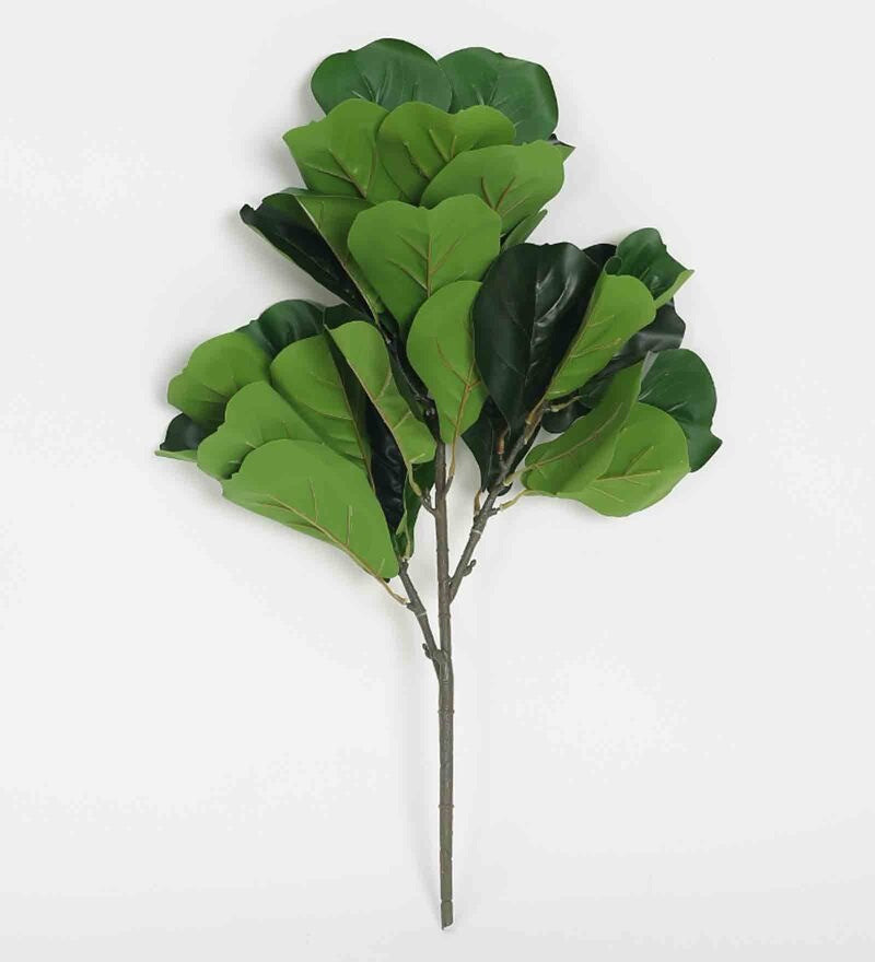 PolliNation Artificial Medium Fiddle Leaf Plant Without Pot (2 FT, 30 Leaves)