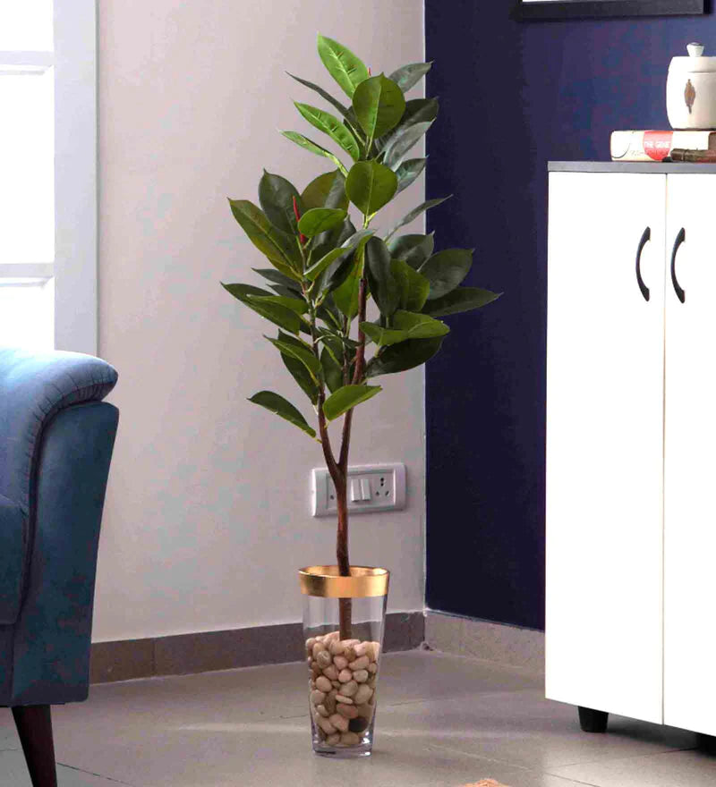 Pollination Artificial Attractive Rubber Plant Without Pot (3 FT)