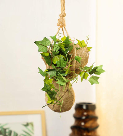 Beautiful Artificial White Ivy Creeper Bonsai with Jute Bag for Balcony (Pack of 1)